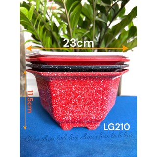  {10 Cai} Chậu Nhựa Lục Giác 210 Trồng Cây Loại Dày Dặn 23x15cm 