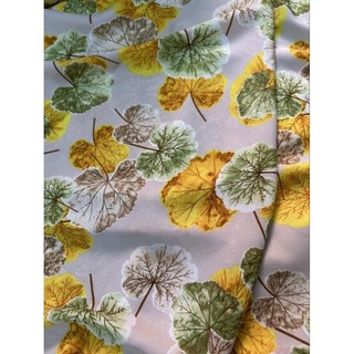 lụa mỹ (30k/0.5m)