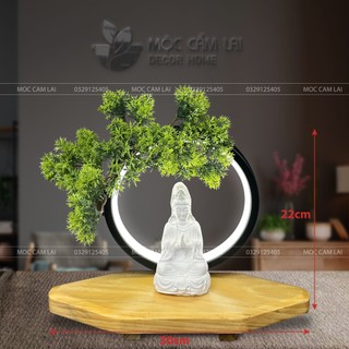 Bộ tiểu cảnh bonsai cuốn đèn đế hình thoi đặt tượng - tiểu cảnh trang trí phòng khách bàn làm việc