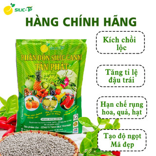 PHÂN BÓN SILIC TP DẠNG HẠT GÓI 300GRAM CHUYÊN CHO LÁ, HOA, QUẢ HẠT DÙNG ĐỂ PHUN TƯỚI - DÒNG TAN CHẬM