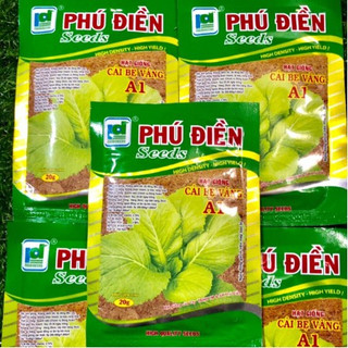 20Gr Hạt Giống Rau Cải Bẹ Vàng 4 Mùa năng suất