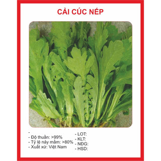 Hạt giống cải cúc tẻ, cải cúc nếp gói 20g cao sản , dễ trồng
