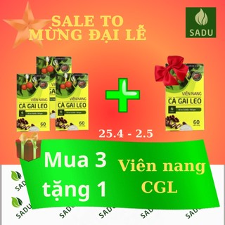 Viên nang cà gai leo Sadu combo 3 tặng 1