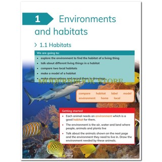 Cambridge Primary Science 2: Learner's Book + Workbook (Second Edition)
