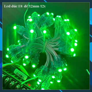 LED Đúc F8 Đế 12mm - Chống Nước - 12V DC [ Dây 50 Bóng ]