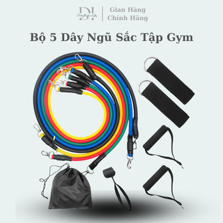 Bộ 5 Dây Ngũ Sắc Tập Gym Full Body, Dụng Cụ Tập Thể Hình Kháng Lực Đa Năng Nhỏ Gọn - didooglt