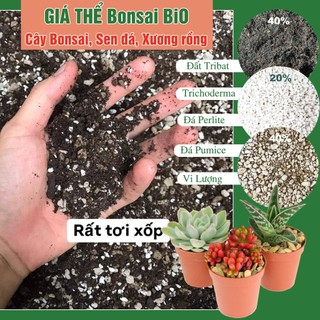Đất trộn Giá thể đất trồng cây Bonsai, Sen Đá, Xương Rồng, Cây Cảnh tốt nhất