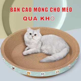 Thảm cào móng Cào móng cho mèo Cào móng mèo nhỏ Bàn cào móng tròn Lna cho mèo tặng kèm Catnip cao cấp