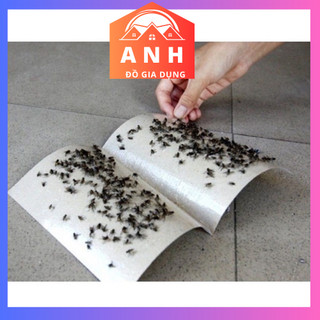 Tấm keo dính ruồi nhặng nam kiệt