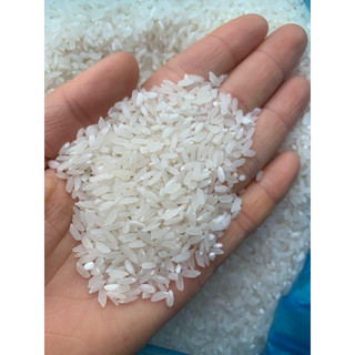 Gạo quê Khang Dân cơm khô sát mộc