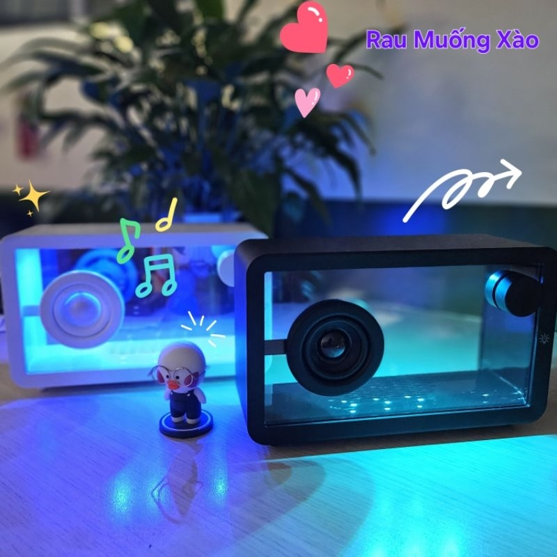 Loa Bluetooth SSZ X10 Trong Suốt Âm thanh Ánh Sáng Sống Động Thiết Kế Tối Giản Cực Đẹp | BigBuy360 - bigbuy360.vn