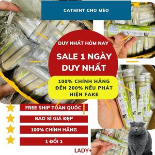 Cỏ Mèo bạc hà Catnip cỏ thơm cho mèo 10gr