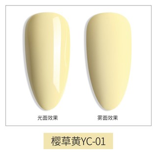 Sơn Gel AS Mã YC (cam kết chính hãng _lựa màu tự do hơn 2000 màu)