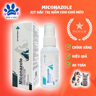 Thuốc xịt trị nấm, viêm da Miconazole cho chó mèo 50ml