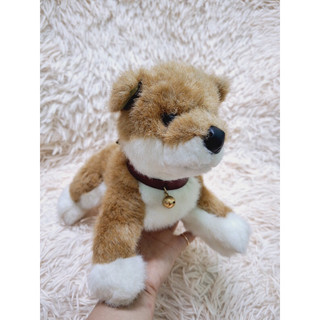 gấu bông con chó Shiba như thật