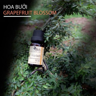 Tinh dầu hoa bưởi - tinh dầu hà na