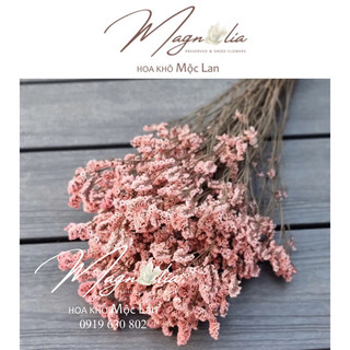 Hoa khô sao thuỷ tinh Limonium bó lớn 100g trang trí decor nhà cửa