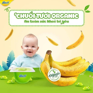 Sữa Chua Organic Hoff LỐC (6 hộp x 55g)