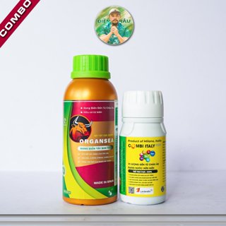 Combo Xanh Lè- Bao Xanh- Organsea vs Combi Italy