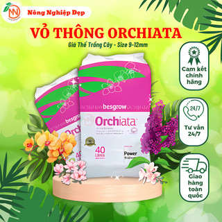 Vỏ thông orchiata - size 9-12mm - 1 lít