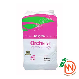 Vỏ Thông ORCHIATA - Size 9-12mm - Gói 1Kg - Giá Thể Trồng Cây