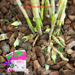 Vỏ Thông ORCHIATA - Size 9-12mm - Gói 1Kg - Giá Thể Trồng Cây