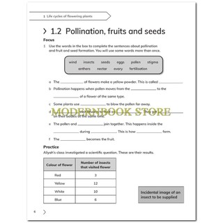Cambridge Primary Science 5: Learner's Book + Workbook (Second Edition)