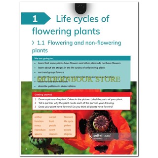 Cambridge Primary Science 5: Learner's Book + Workbook (Second Edition)