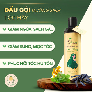 Dầu gội Tóc Mây với 21 loại thảo mộc & đá quý giúp giảm rụng, kích thích mọc tóc, tóc suôn mượt ko cần dầu xả 250ml
