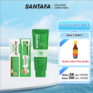 Combo Sữa Rửa Mặt Và Kem Hỗ Trợ Ngừa Mụn Bọc Mụn Sưng Acnevir Santafa Tuýp 100g và 15g