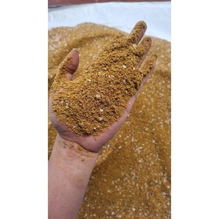 Mồi câu cá chép đặc biệt thơm