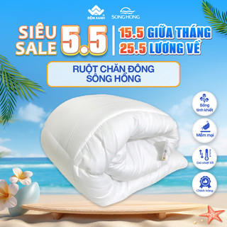 Ruột Chăn Đông Sông Hồng phân phối chính hãng tại Đệm Xanh