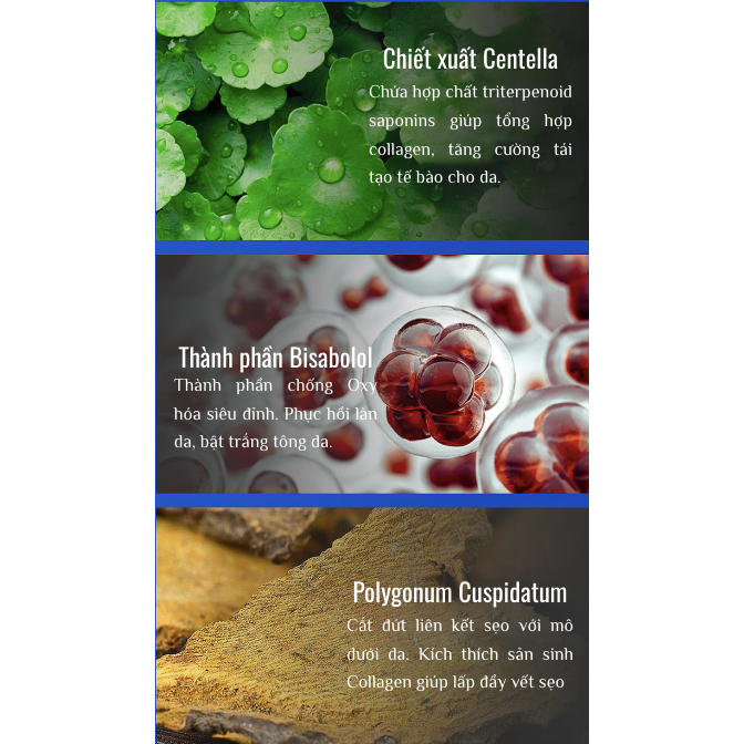 Siêu Vi Điểm Tái Tạo Sẹo Pibamy - Pibamy Tinh Chất Làm Mờ Sẹo Rỗ, Sẹo Đáy Nhọn Giải Phóng Hết Sẹo, Giúp Da Mịn Màng