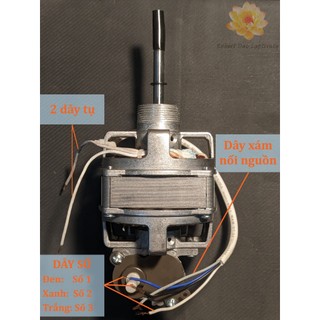 Đầu quạt B4 Điện cơ 91 BQP (Motor quạt điện)