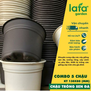 COMBO 5 cái kích thước (80x130mm) chậu nhựa chuyên trồng cây sen đá thành thấp LAFA GARDEN