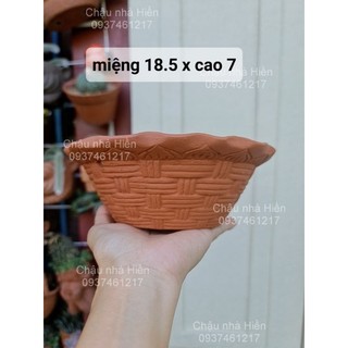 Chậu đất nung - chậu chén miệng bèo miệng 16.5, cao 8