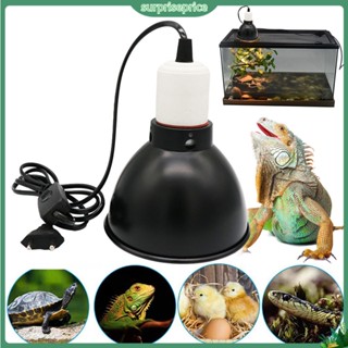 [GIÁ SĨ] CHỤP BẢO VỆ ĐÈN SƯỞI ẤM UVA UVB BÒ SÁT RÙA IGUANA THÚ CƯNG CHÓ MÈO TĂNG CÔNG SUẤT SƯỞI CHÍNH HÃNG NOMOYPET