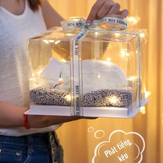 Thú Bông Than Hoạt Tính Chó Mèo Nằm Ngủ Giống Thật 99% Set Quà Tặng Sinh Nhật - Đồ Trang Trí Decor Phòng Ngủ đẹp