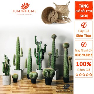 Cây xương rồng giả - Cây giả decor trang trí nhà cửa nội thất phòng khách phòng ngủ