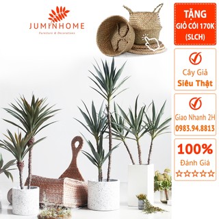 Cây giả, thiết mộc lan giả, phát tài núi - Cây giả decor trang trí nhà cửa nội thất phòng khách phòng ngủ