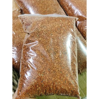 (1kg) Hạt kê đỏ Ukraine size lớn