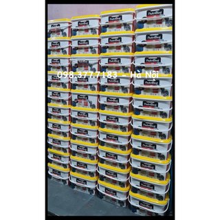 (200g) Bột A19 chuyên dụng cho vẹt non