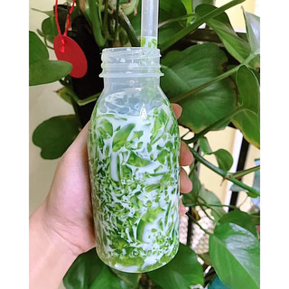 nước cốt dừa thái
