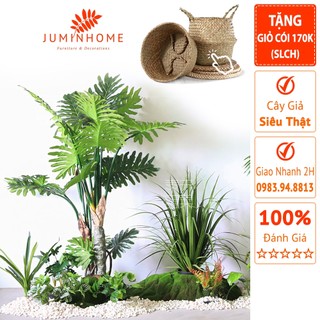 Cây trầu bà giả, trầu bà thanh xuân, trầu bà lá xẻ - Cây giả decor trang trí nhà cửa nội thất phòng khách phòng ngủ