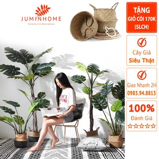 Cây trầu bà giả, monstera, cây lá rùa, trầu bà lá xẻ - Cây giả decor trang trí nhà cửa nội thất phòng khách phòng ngủ