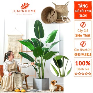 Cây chuối giả, chuối nhựa - Cây giả decor trang trí nhà cửa nội thất phòng khách phòng ngủ