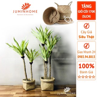 Cây giả, Cây dứa giả, dứa rừng - Cây giả decor trang trí nhà cửa nội thất phòng khách phòng ngủ