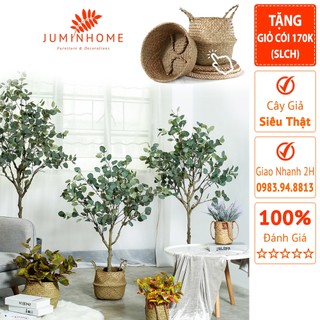 Cây giả, Cây bạch đàn giả, lá táo, lá bạc  - Cây giả decor trang trí nhà cửa nội thất phòng khách phòng ngủ