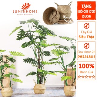 Cây trầu bà giả, trầu bà dây leo, trầu bà lá xẻ - Cây giả decor trang trí nhà cửa nội thất phòng khách phòng ngủ