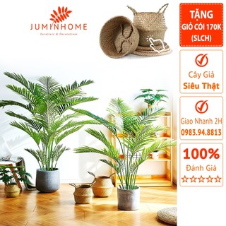 Cây giả, Cây dừa giả - Cây giả decor trang trí nhà cửa nội thất phòng khách phòng ngủ